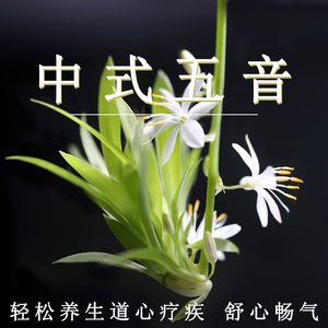 www.羞羞视频.com

